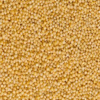 Goldhirse 500 g