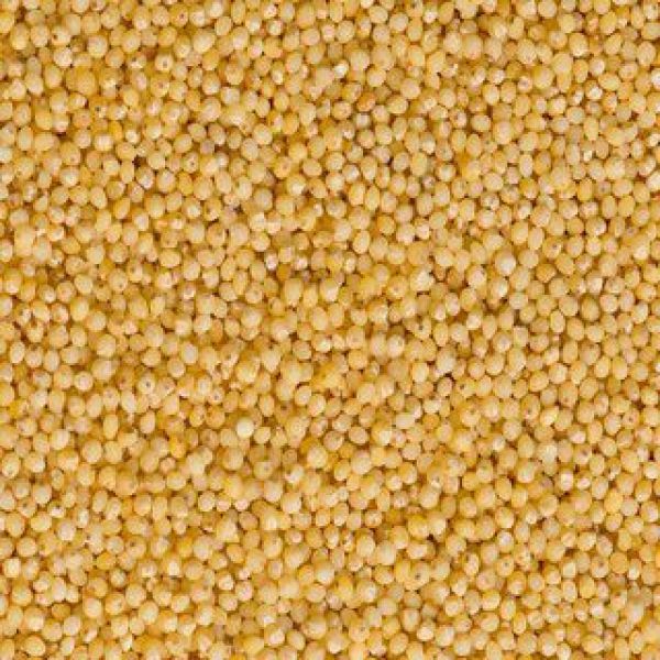 Goldhirse 500 g