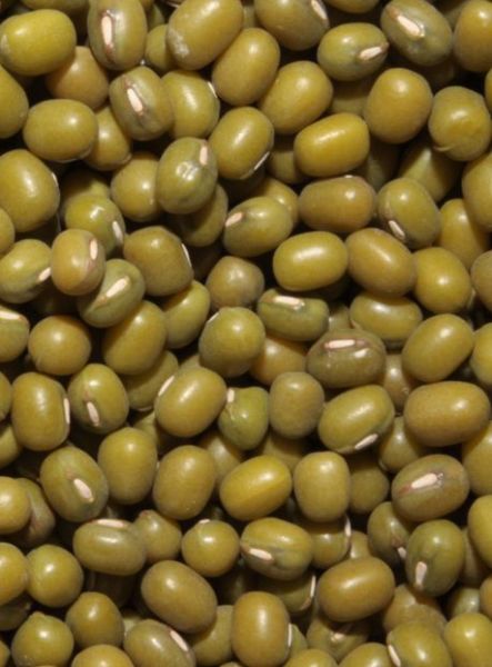 Mungo Bohnen 500 g